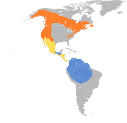 Distribución geográfica del pibí boreal.