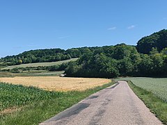 Paysage rural