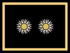 Intendenteburua / Superintendente