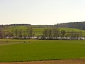 Hasensee