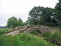 The central bridge