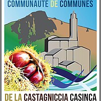 Blason de Communauté de communes de la Castagniccia-Casinca Cumunità di è cumune di a Castagniccia-Casinca