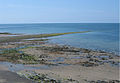 Sarn Gynfelyn revealed by low tide