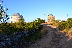 Image illustrative de l’article Région Centre (Portugal)