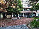 人类发展与健康学院