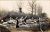 A historic photograph of Odell Great Wood showing storm damage