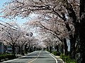 雨池公園周辺