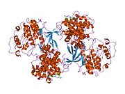 1ol1: CYCLIN A BINDING GROOVE INHIBITOR H-CIT-CIT-LEU-ILE-(P-F-PHE)-NH2