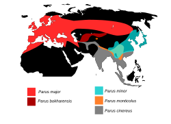 Distribución das especies do xéenro Parus