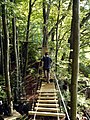 Parcours aventure en forêt