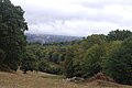 Paysage entre le hameau Le Dognon et Sainte-Marie-de-Vaux.