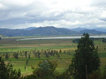 Cattle farming in rural San Miguel de Sema Lake Fúquene in the background