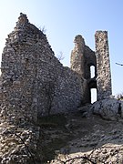 Ruine des Palas