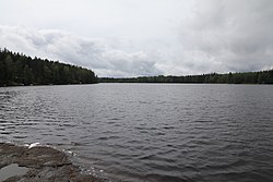 Suurijärvi Joutsenkosken uimarannalta