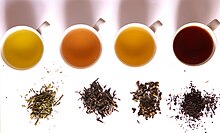 4種類の茶を比較するために、茶器に注がれた茶と、乾燥した状態の茶を並べた構図の写真。
