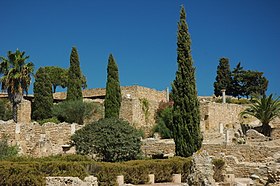 Image illustrative de l’article Colline de l'odéon et parc des villas romaines de Carthage