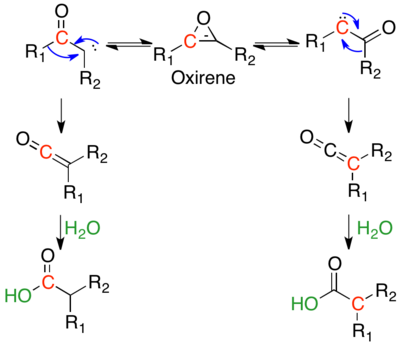 Isotopic scrambling of 13C labeled ketocarbene via symmetric oxirene.