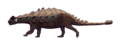 Akainacephalus