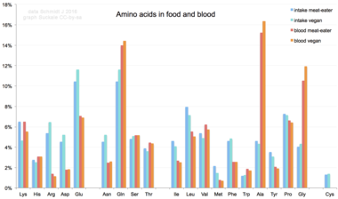 Diagram showing the relative occurrence of amino acids in blood serum as obtained from diverse diets.