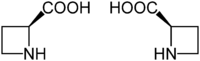 Acide azétidine-2-carboxylique