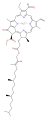 chlorophyll b