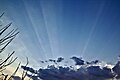 Crepuscular rays