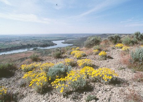 Flowers River, Hagerman National Monument.