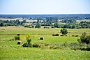 Landscape in Kalkūne Parish