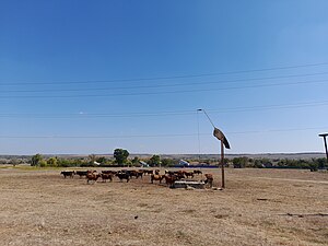 Водопій для худоби в центрі села