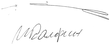 Signature de Sergueï StanichevСергей Станишев