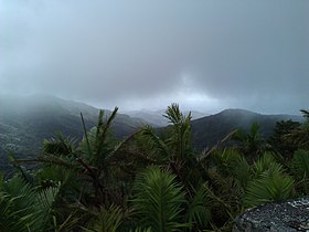 Panorama from Mameyes II in 2012