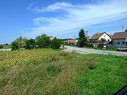 The outskirts of the village