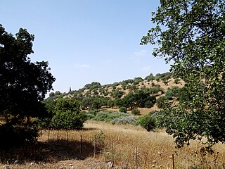 נחל השבעה מדרום לקיבוץ בית קשת