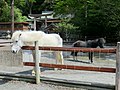 丹生川上神社下社にて。（奈良県下市町）