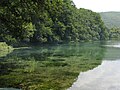 Une rive du lac d'Ohrid