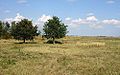 Terrain and vegetation of Vtáčí ostrov ("Bird Island")