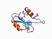 1bm2: GRB2-SH2 DOMAIN IN COMPLEX WITH CYCLO-[N-ALPHA-ACETYL-L-THI ALYSYL-O-PHOSPHOTYROSYL-VALYL-ASPARAGYL-VALYL-PROLYL] (PKF273-791)