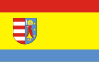 Bandeira do Condado de Opoczno