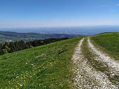 Panorama dal monte Bertiaga