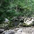 Creek running across Farlow Gap trail.