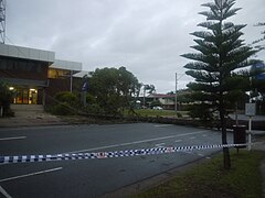 Fallen tree caused by gale-force wind at Redcliffe