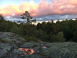 Moln över urskogen Ryssbergen