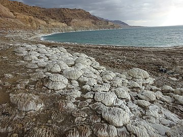 Salt crystals, Dead Sea