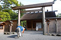 衣装を着けた神馬。（豊受大神宮・伊勢神宮/外宮）。