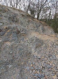 Naturdenkmal Skryjsko-týřovické kambrium