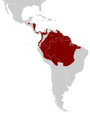 Distribución de la tigana