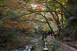 Parc de Tsudzumigataki.