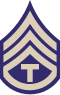 The T/3 insignia of a letter "T" below three chevrons and above an arc of one bar.