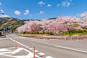 阿南市山口町末広