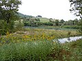 Le Rhône à Nattages